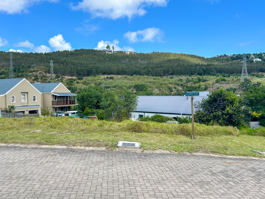 0 Bedroom Property for Sale in Green Pastures Western Cape